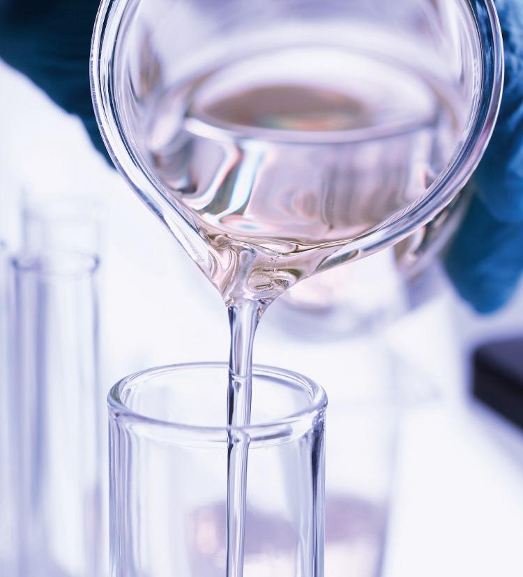 WhatsApp Image 2026-02-26 at 21.17.52